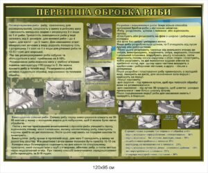 Стенд для військових “Первинна обробка риби”