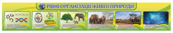 Стенд над дошкою «Рівні організації живої природи»