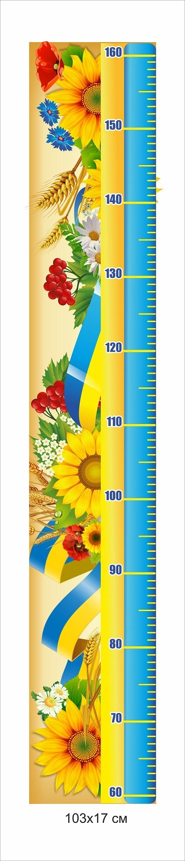 Стенд ростомір у патріотичних кольорах
