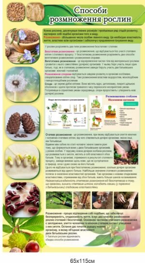 Комплекс стендів з біології