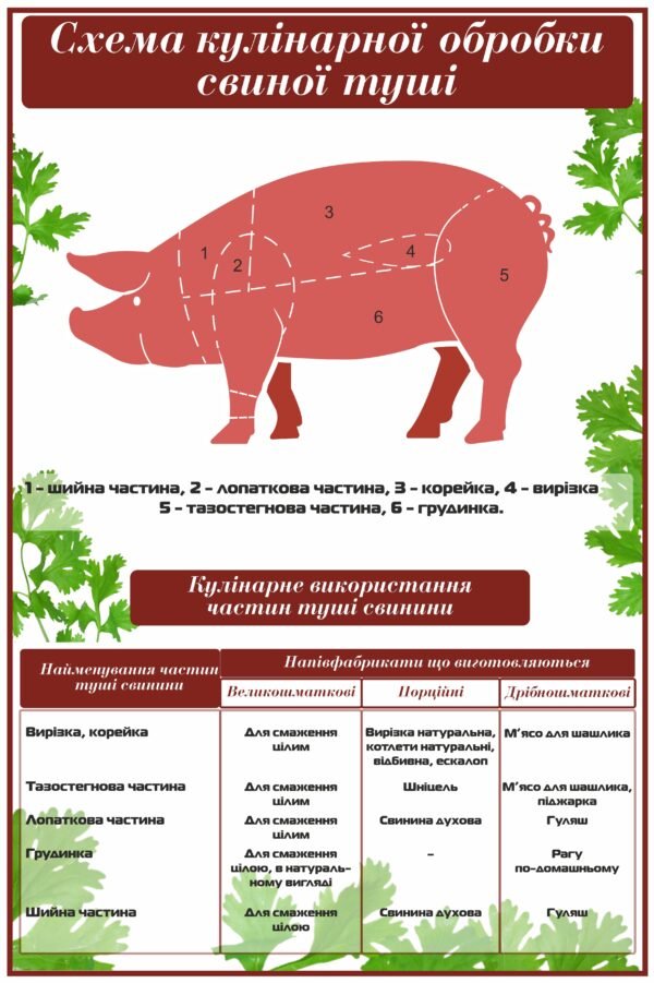 Стенд “Схема кулінарної обробки свиної туші”