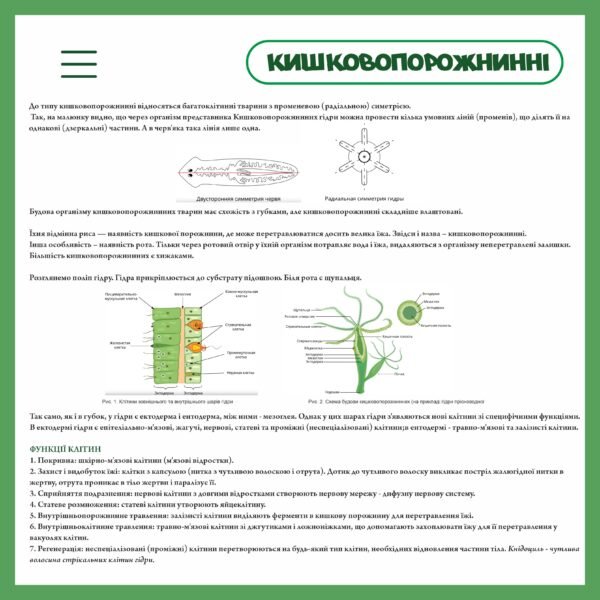 Стенд з біології “Кишковопорожнинні організми”