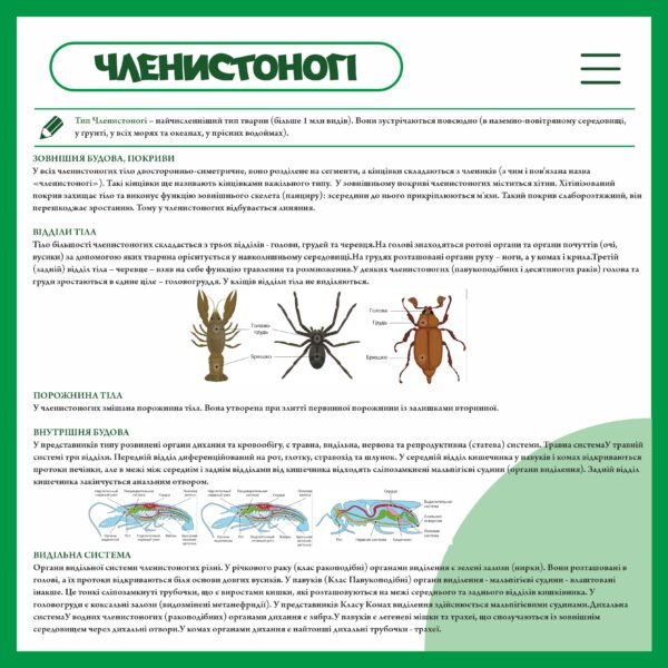 Стенд з біології “Членистоногі організми”