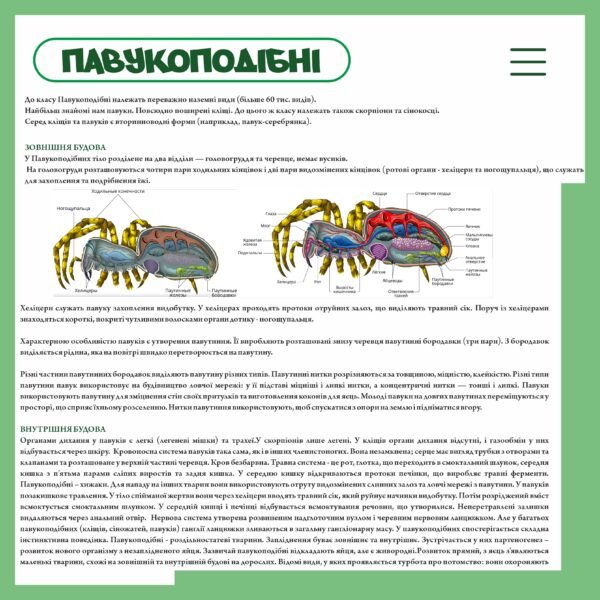 Стенд з біології “Павукоподібні організми”