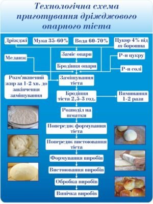 Стенд “Технологічна схема приготування дріжджового опарного тіста”