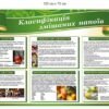 Стенд “Класифікація змішанних напоїв”
