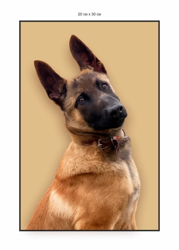 Таблички, банери та різне