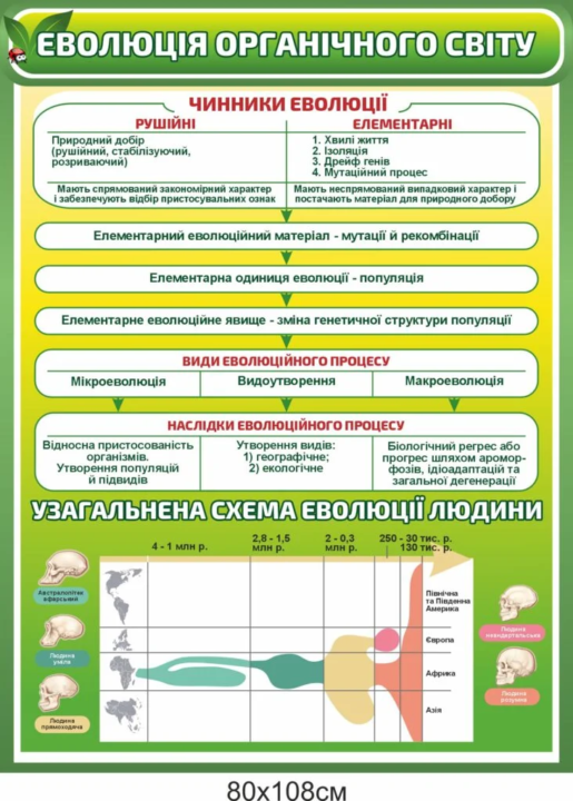 Еволюція органічного світу — основа розвитку життя на Землі